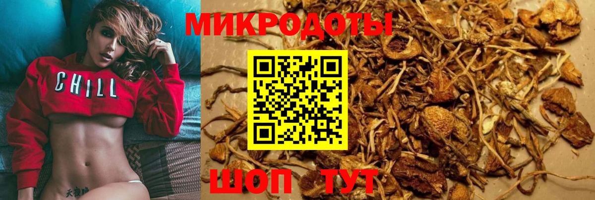 Псилоцибиновые грибы прущие грибы  Псилоцибиновые грибы Cubensis  Канаш  Вход с VPN 